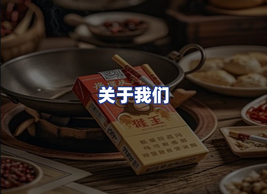 专业团队